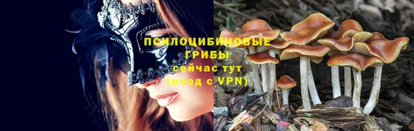 прущие крисы Алексин