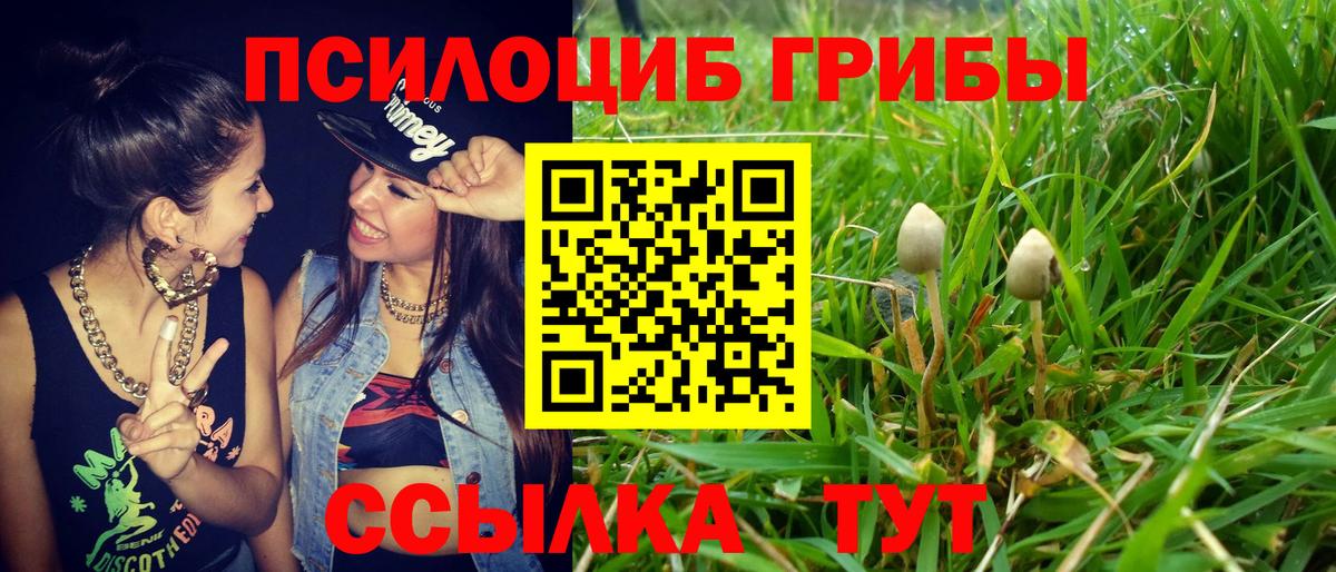 купить  сайты  Вход с VPN  Североуральск  Псилоцибиновые грибы ЛСД 